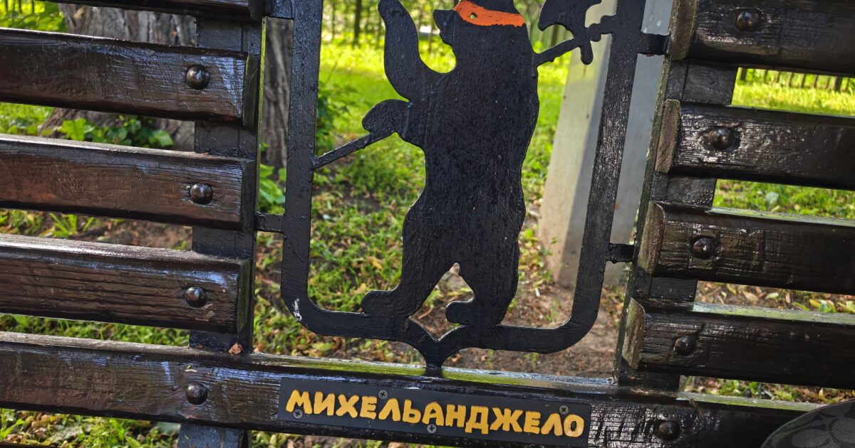 🥷🐻 В Ярославле замечены… мишки-ниндзя!